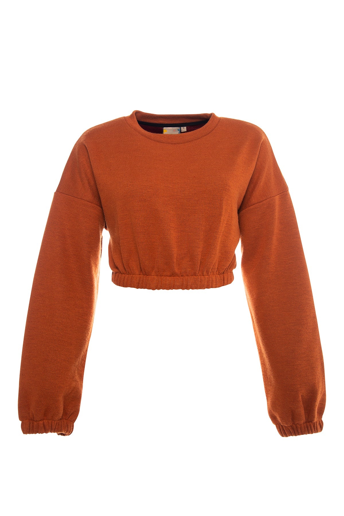 Fresh Crop Top Sweatshirt The Revivas